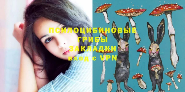 крисы Богданович
